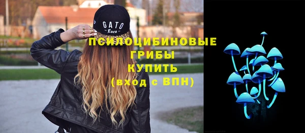 круглые Алзамай