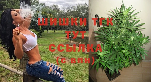 круглые Алзамай